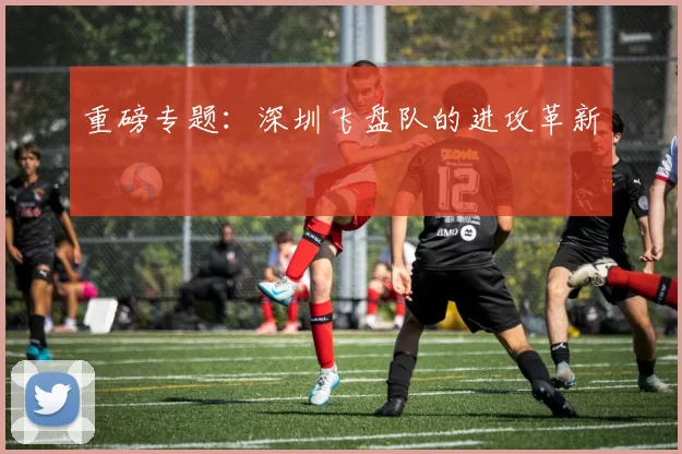 重磅专题：深圳飞盘队的进攻革新